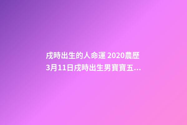戌時出生的人命運 2020農歷3月11日戌時出生男寶寶五行八字是什么，八字還缺什么？（起名字作為參考）-第1張-觀點-玄機派